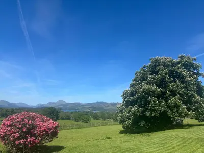 a large tree in a field with two pink flowers at Ardenvhor - Loch Lomond in Gartocharn