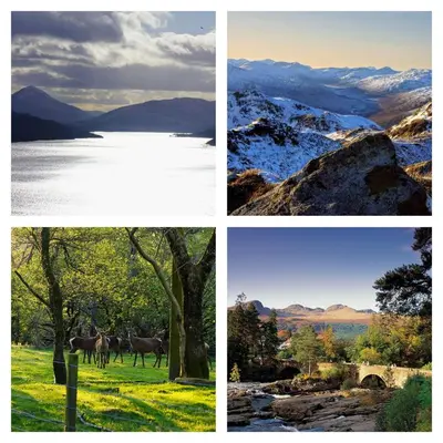 four different views of a lake and a horse in four pictures at Killin Highland Lodges in Killin