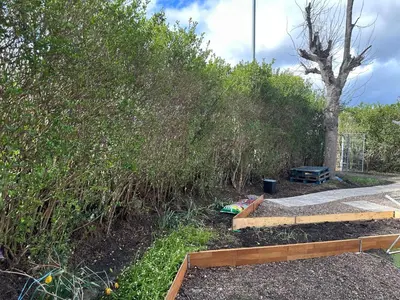 a garden with a wooden bench next to a bush at Private main door Two Bedrooms Apartment in Edinburgh