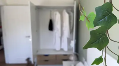 a mirror in a room with a plant at The Tummel Lodge with Hot Tub in Crieff in Crieff