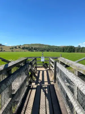 a dog walking across a bridge over a field at The Clachan Inn in Dalry
