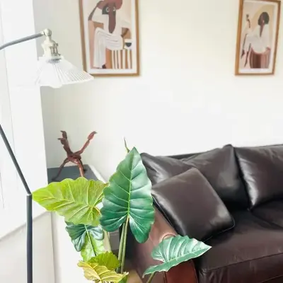 Lovely spacious home near station