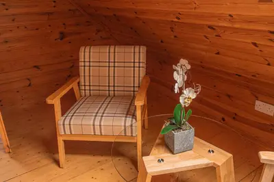 a chair and a table with a potted plant in a room at Lodge 1 in Stirling