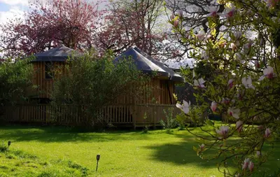 a house in a yard with a flowering tree at Fun holiday lodges in historic walled garden near Falkirk, Heart of Scotland Holidays in Falkirk
