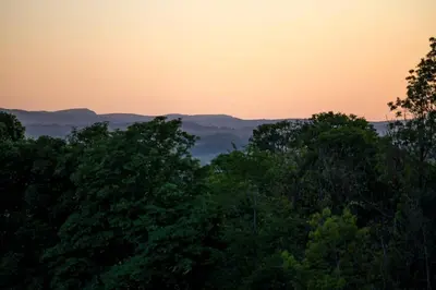 a group of trees with the sunset in the background at Retreat to the Campsies in Lennoxtown