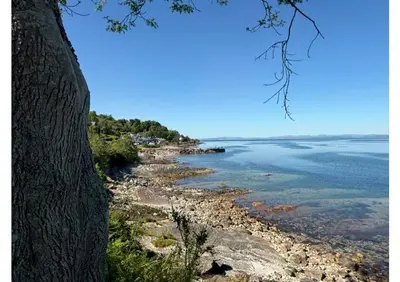 a view of the ocean from a tree at Eldon Cottage in Isle of Arran