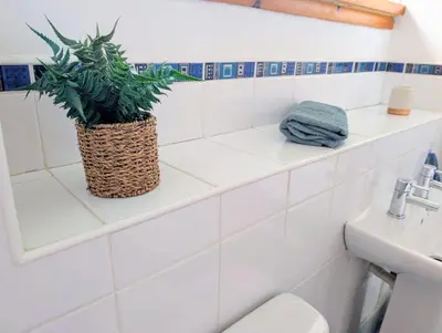 a bathroom with a toilet and a plant on a shelf at Stylish Coastal Retreat in Saltcoats in Stevenston
