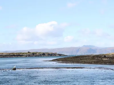 a river with a bird standing in the water at Bathach Mor in Oban