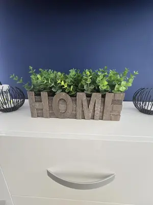 a plant in a pot on top of a table at Woodlands Retreat Holiday Home in Ballantrae