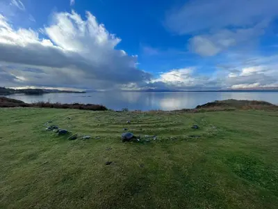 a group of animals in a field near a body of water at Cuan Flat - Oban in Oban