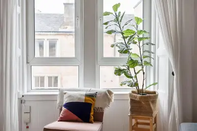 a chair with a plant in front of a window at GuestReady - Modern 1BR in Edinburgh in Edinburgh