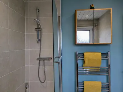 a bathroom with a shower and a mirror at Edinburgh Home from Home in Edinburgh