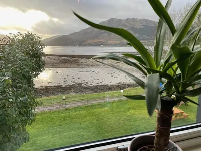 a plant in a window with a view of the water at The Shore House in Lochgoilhead