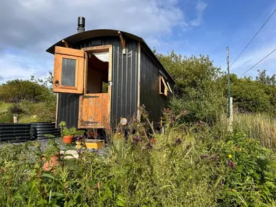 an old train car is sitting in a field at The Shepherd's Hut in Craighouse