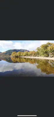 a view of a body of water with trees at Rowardennan Rooms in the lodge Lodge no 2 in Rowardennan