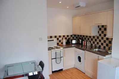 a small kitchen with a stove and a dishwasher at Grassmarket-Old Town Apartment in Edinburgh