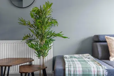 a living room with a couch and a plant at Free Parking - Central - Sleeps 8 - 3 Bedrooms in Livingston