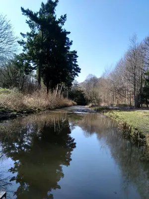a river with trees on the side of it at Comfortable room with en suite in Edinburgh