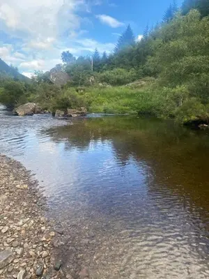 a river with rocks and trees on the side at Argyll Farmhouse-Idyllic Setting-Sleeps10 in Dunoon