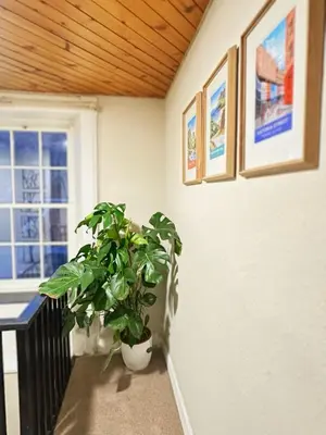 a potted plant in a hallway with a window at Duplex - City Centre 4-Bed Retreat in Edinburgh
