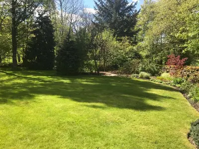 a large grassy yard with trees and bushes at Wood Cottage in Peebles