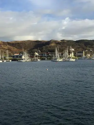 a group of boats sitting in a body of water at Morvern Cottage in Craobh Haven