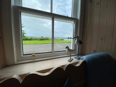 a window with a seagull sitting on a window sill at Smithy House in Crinan