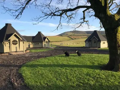 three cats sitting in the grass in front of houses at Carnethy Cabin in Kirknewton