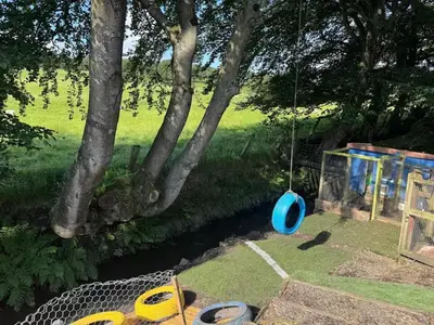 a swing hanging from a tree next to a river at Relaxing 5-star farm stay sleeps 20 with spa! in Kirk of Shotts