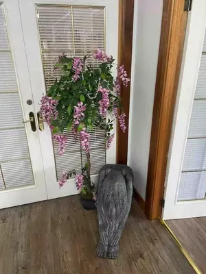 a plant in a vase next to a door at Relaxing 5-star farm stay sleeps 20 with spa! in Kirk of Shotts