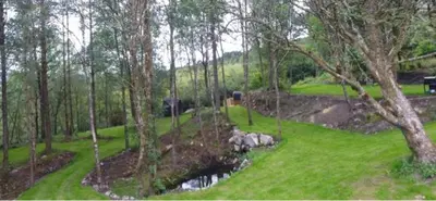 a view of a field with a creek in the forest at 60 Mile Inn - Luxury Pods with Hot Tubs in Bridge of Orchy