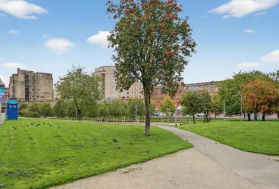 a tree in the middle of a green park at Modern 2-Bedroom flat in Glasgow city centre, near Galsgow Green in Glasgow