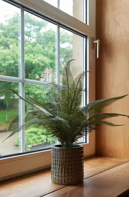 a potted plant sitting on a window sill at Luxury Old Town Apartment just a 5 Minute Walk to Stirling Castle in Stirling