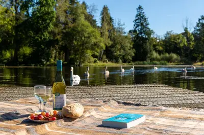 a bottle of wine and a plate of fruit and a glass at Moffat Manor Holiday Resort in Beattock