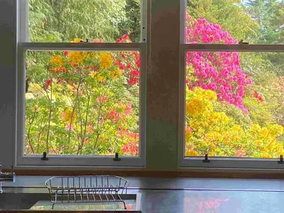 two windows in a room looking out at flowers at Fordie Lodge in Comrie