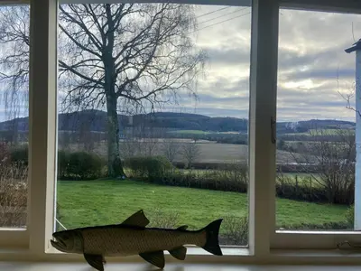 a window with two fish statues in front of it at Fordie South Cottage in Comrie