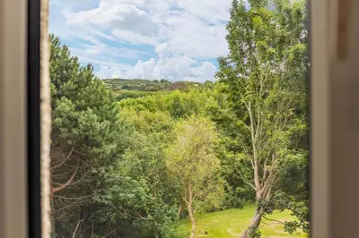 a view of a forest of trees from a window at Stylish Stay in Inverkeithing. in Fife