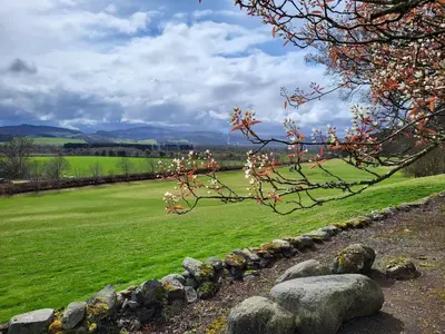 a green field with a rock wall and a tree at Fordie West Cottage in Comrie