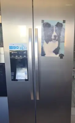a refrigerator with a picture of a dog on it at 2-Bedroom Home Away From Home in Glasgows' East End with FREE Parking in Mount Vernon