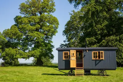 a tiny house in a field with trees at Redwood in Moffat