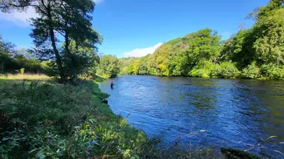 a river with a person swimming in the water at Fordie East Cottage in Comrie