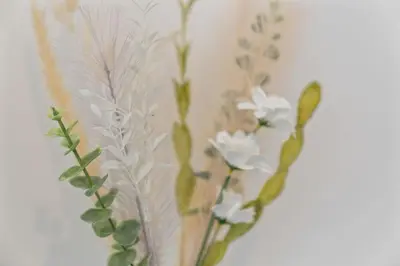 a vase with white flowers and a feather at Kirkstyle Cottage in Coatbridge