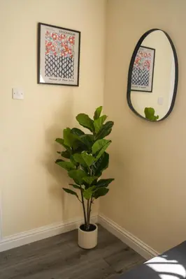 a plant in a room with a mirror at 3 BDR House By Caledonia Luxe Stays Short Lets & Serviced Accommodation Wishaw in Wishaw