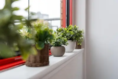 three potted plants sitting on a window sill at Botanic House - 3BR Home - Private Parking in Glasgow