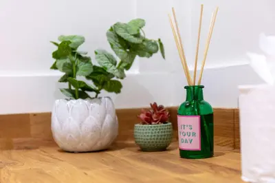 three plants and a green bottle on a table at Weaver Suite - Donnini Apartments in Ayr