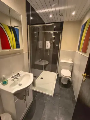 a bathroom with a shower and a sink and a toilet at A Baronial Hall apartment - great views of Loch Fyne