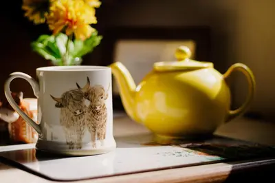 a coffee cup with two owls on it next to a teapot at Daley Croft Boutique Glamping in Taynuilt