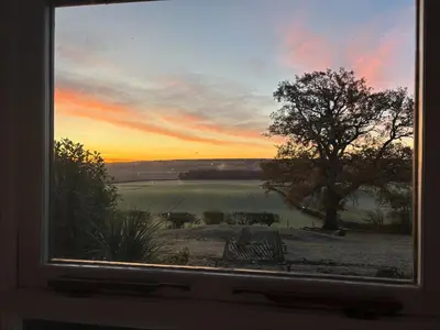 a window with a view of a field with cows at The Cottage in Perth
