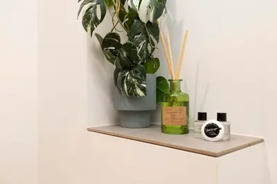 a shelf with a plant and a vase on it at 1 bed in heart of Old Town with Castle Views in Edinburgh