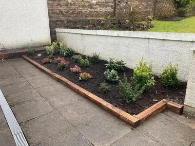 a garden with flowers and plants in a planter at Fifty Five on Gilmour Street in Eaglesham